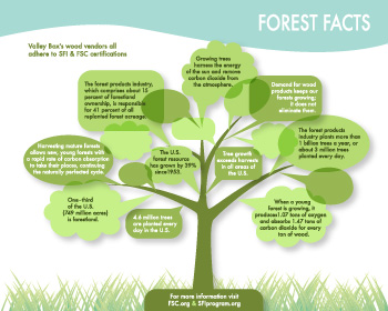 forest facts