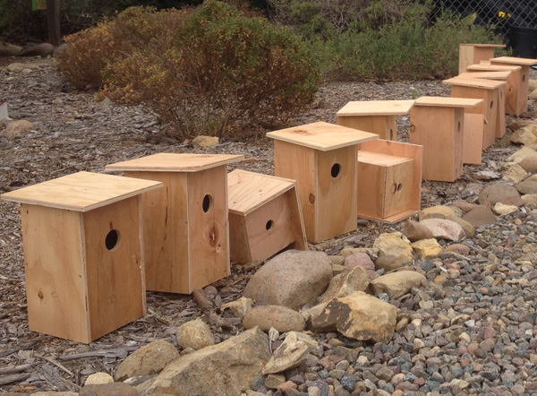 bird houses finished