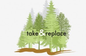 afforestation
