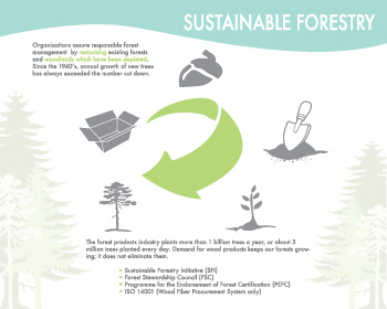 sustainable forestry