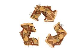 wood scrap recycling